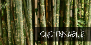 sustainable bamboo forest
