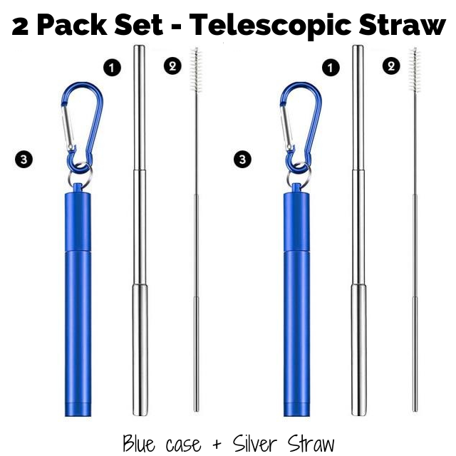 Collapsible Straw With Case