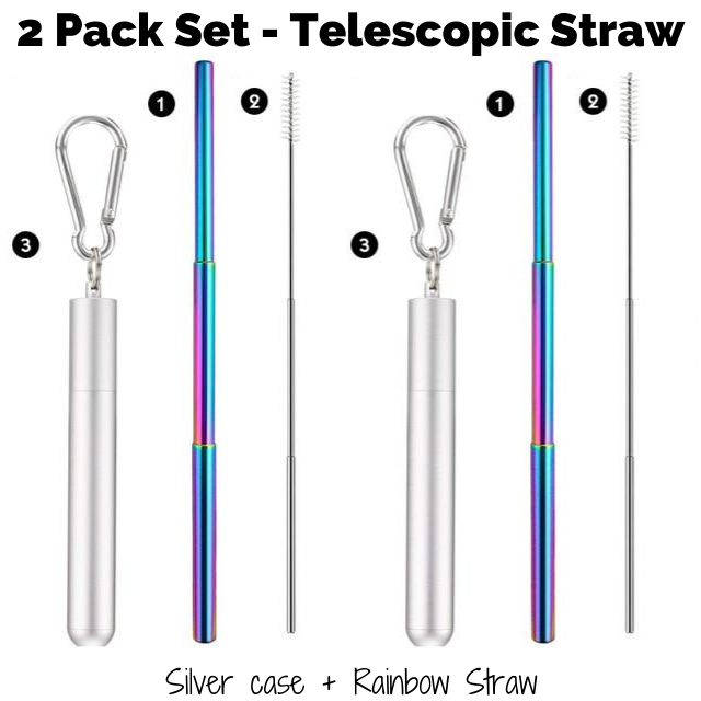 4 Pack Portable Reusable Metal Straw Collapsible Stainless Steel Drinking  Straw Telescopic Straw to Drink Water Smoothie with Aluminum Key-chain Case