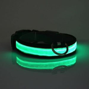 LED Dog Safety Collar - My Eco Boutique