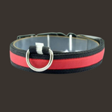 LED Dog Safety Collar - My Eco Boutique