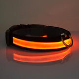 LED Dog Safety Collar - My Eco Boutique