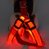 LED Dog Safety Harness - My Eco Boutique