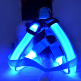 LED Dog Safety Harness - My Eco Boutique