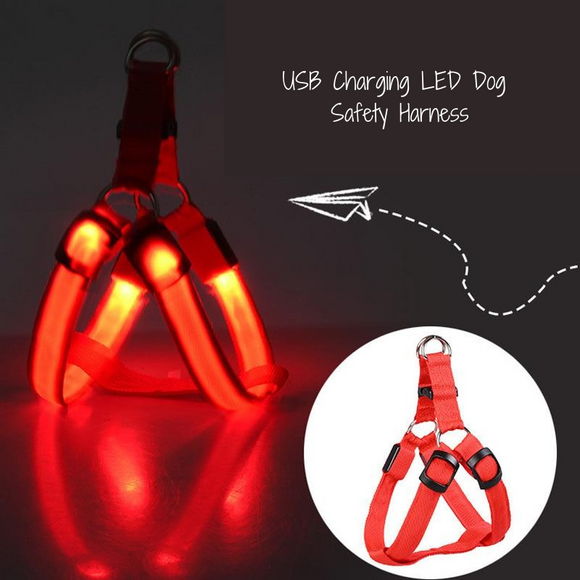 LED Dog Safety Harness - My Eco Boutique