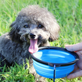 Portable Collapsible Silicone Pet Bowl - My Eco Boutique