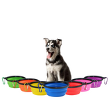 Portable Collapsible Silicone Pet Bowl (Large) - My Eco Boutique